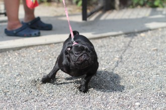おねだり♪