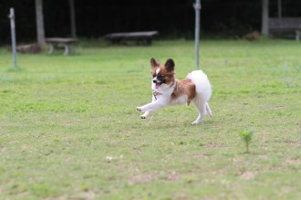 平気でしたね~♪