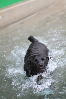 平気でしたね~♪