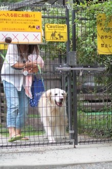 週末のワンコ♪