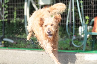 今年の夏は♪