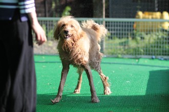 今年の夏は♪