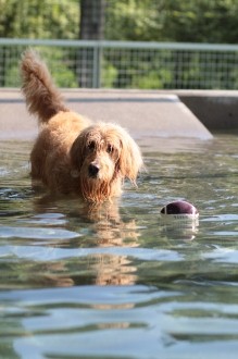 今年の夏は♪