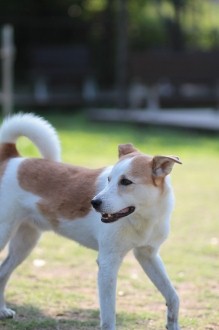 今年の夏は♪