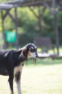 今年の夏は♪