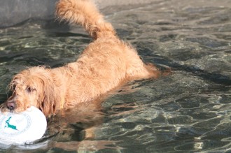 今年の夏は♪