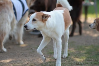 今年の夏は♪