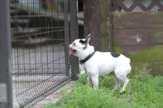 はぁ~♪