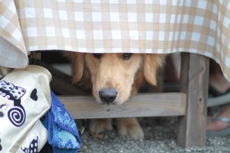 はぁ~♪