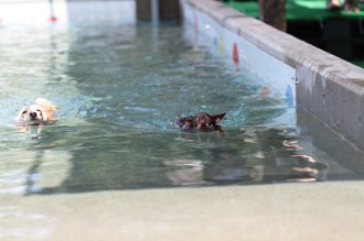 どう?
