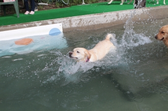 そんなドヤ顔されても・・・