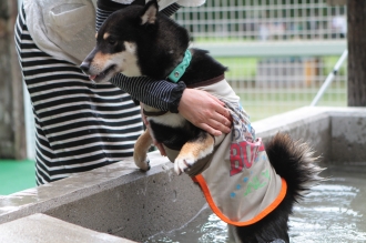 そんなドヤ顔されても・・・
