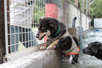 そんなドヤ顔されても・・・