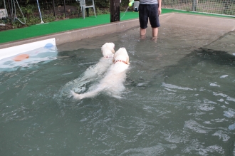 そんなドヤ顔されても・・・