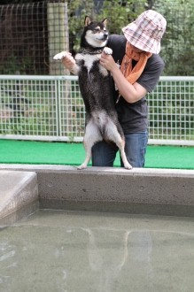 申し訳ありません・・・