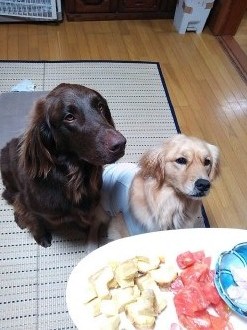 楽しいお泊り♪
