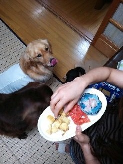 楽しいお泊り♪