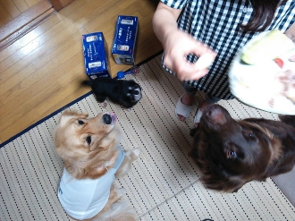 楽しいお泊り♪