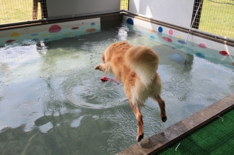 楽しいお泊り♪