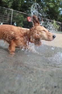いいなぁ~♪