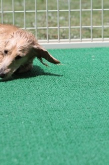珍しく♪