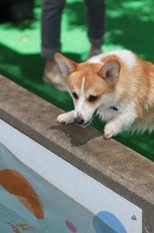 珍しく♪