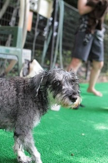 明日は定休日♪