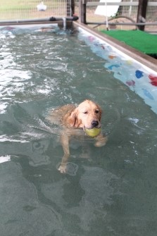 明日はどうでしょう?