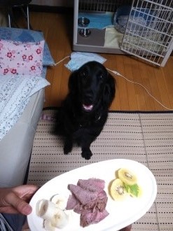 楽しいお泊り♪