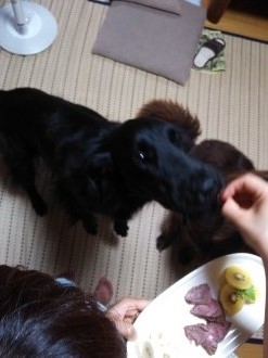 楽しいお泊り♪