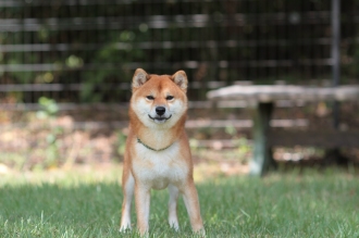 晴れた♪