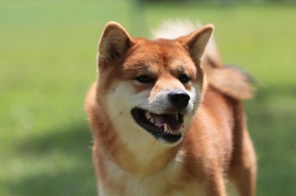 晴れた♪