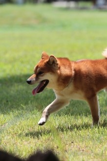 晴れた♪