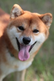 晴れた♪