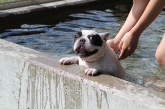 こんにちは♪