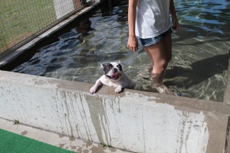 こんにちは♪