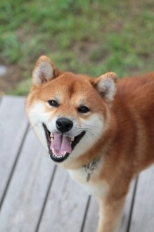 もじゃ子の季節。