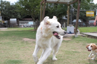楽しいお泊り♪