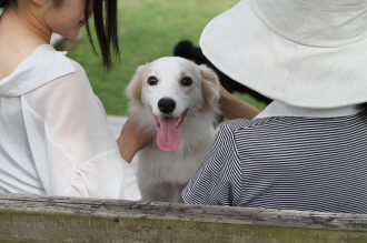 眼力。。