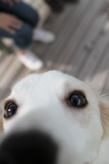 眼力。。