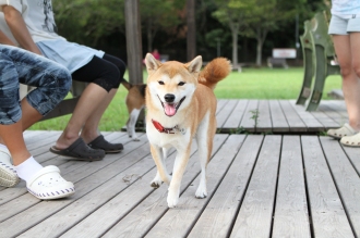 眼力。。