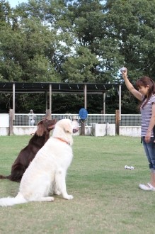 楽しいお泊り♪