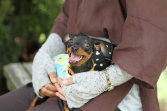 週末のラスト!