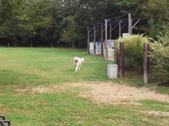 楽しいお泊り♪