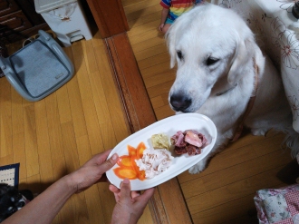 楽しいお泊り♪
