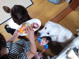 楽しいお泊り♪