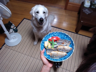 楽しいお泊り♪