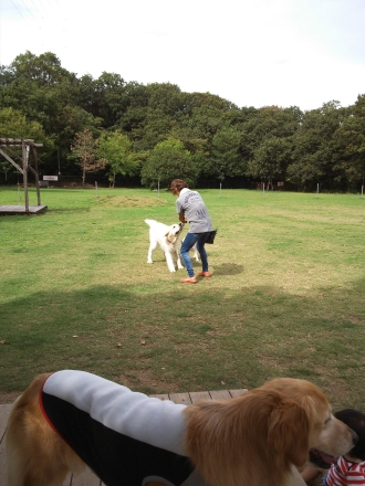 楽しいお泊り♪