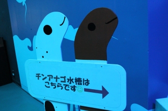 一緒にイルカを見に♪