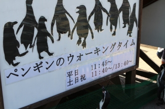 一緒にイルカを見に♪